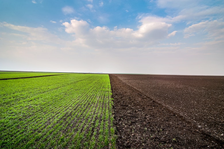 Adobe Stock 335126850