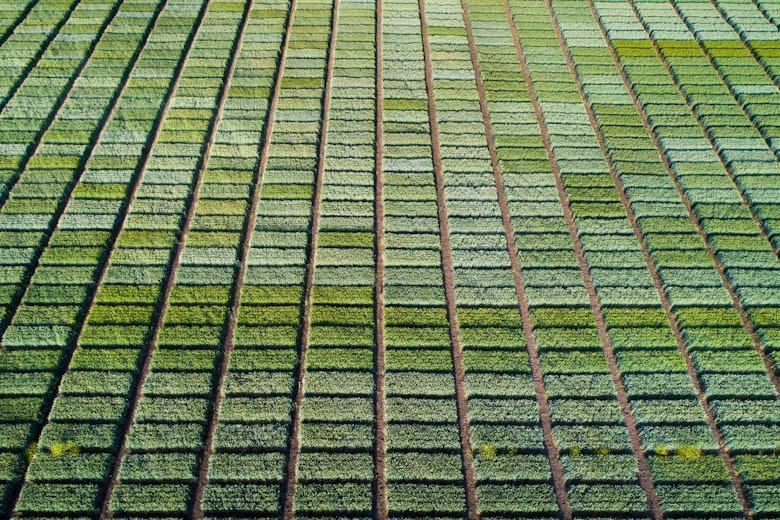 Adobe Stock 353846939