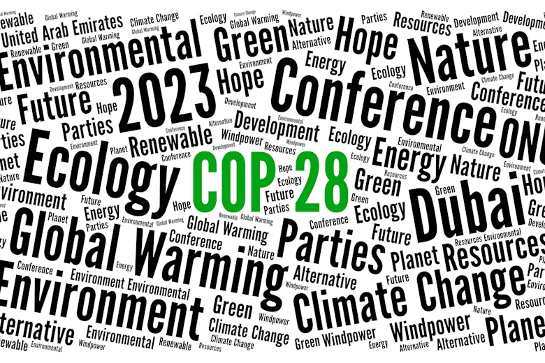 COP28 WordCloud