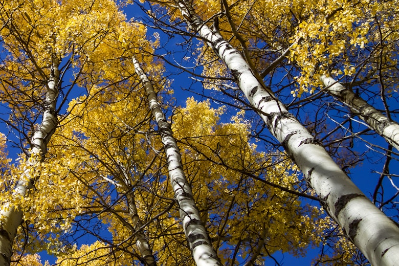 Adobe Stock 665708083