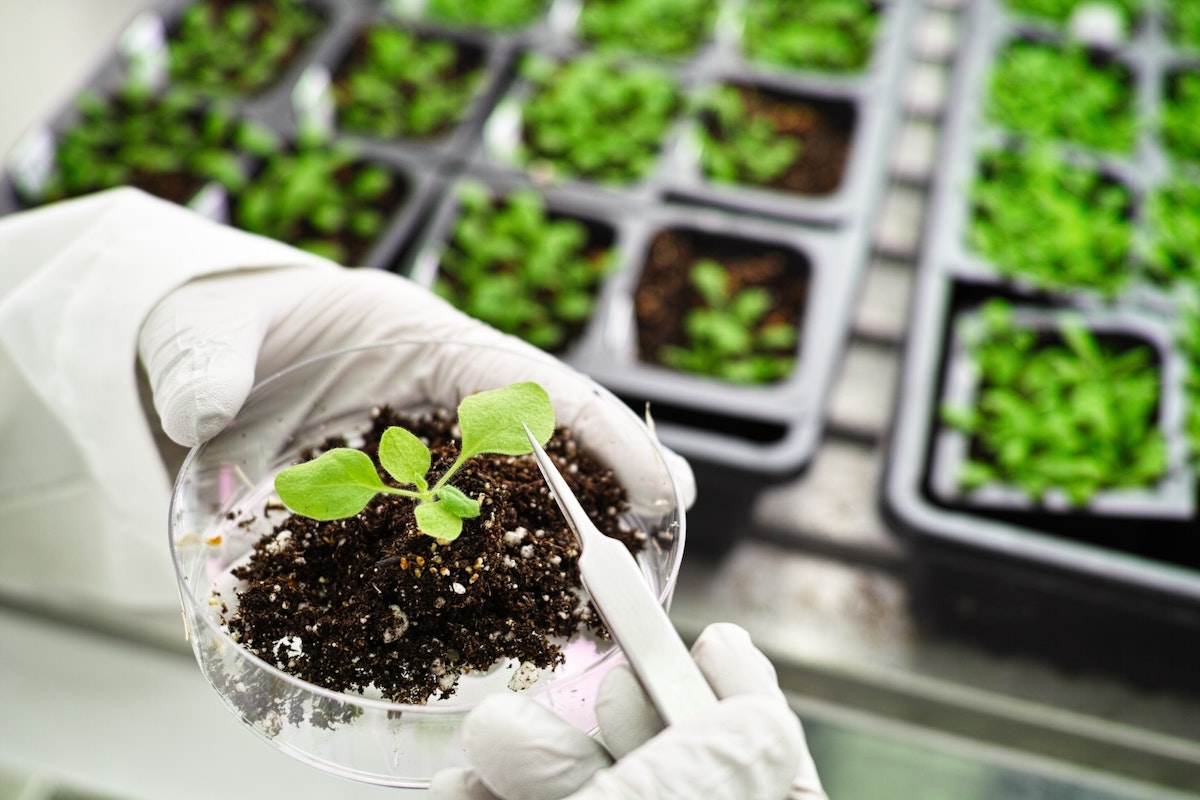 Some Biotechnology Product Reviews Have Gotten Faster, Despite Changing Regulations