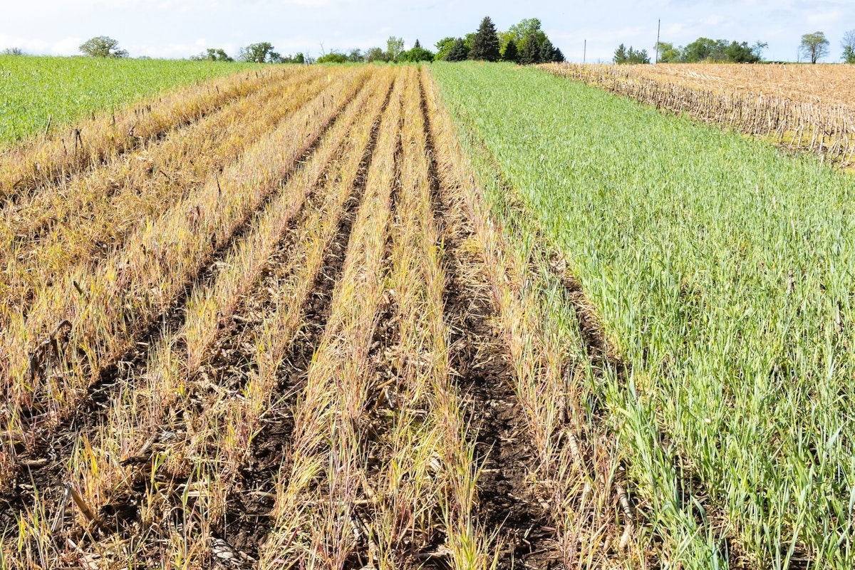 Public Agricultural Research Is Drifting Away From Farm Productivity