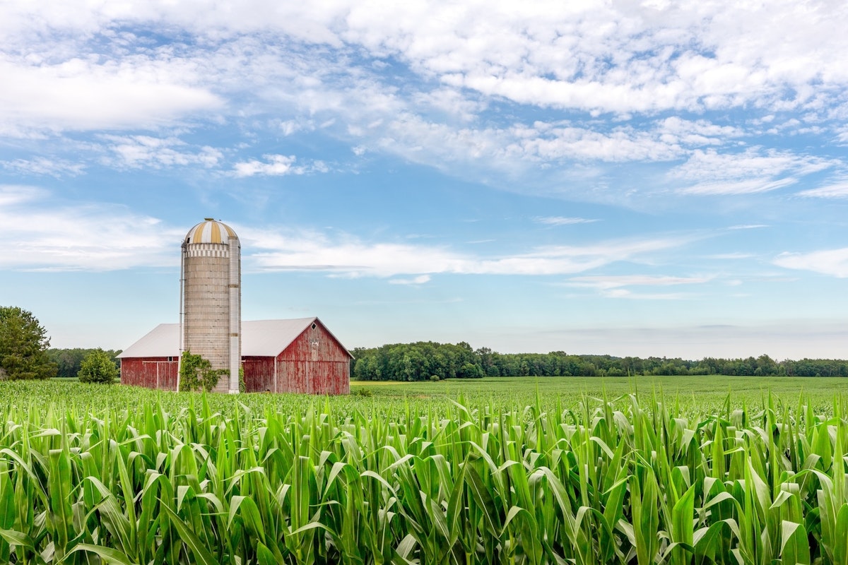 Congress Punts on the Farm Bill (Again), Let’s Talk About Biotech Instead