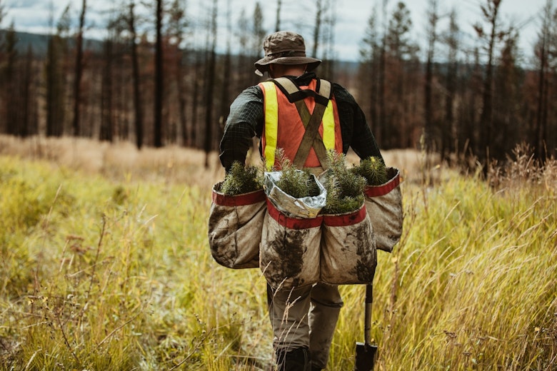 Conservation Abundance