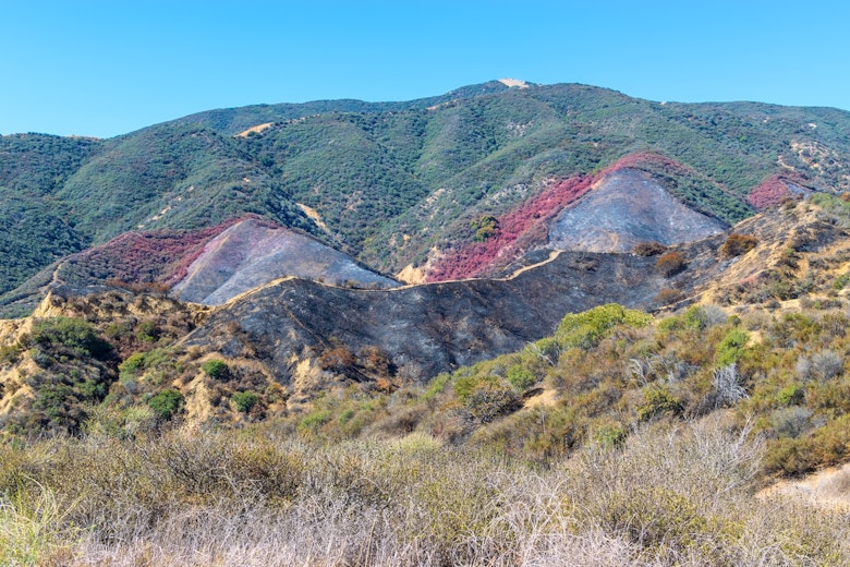 Dry Brush Hill
