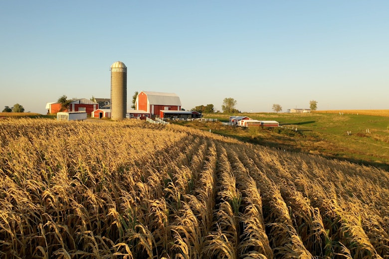 Farm Bill EB