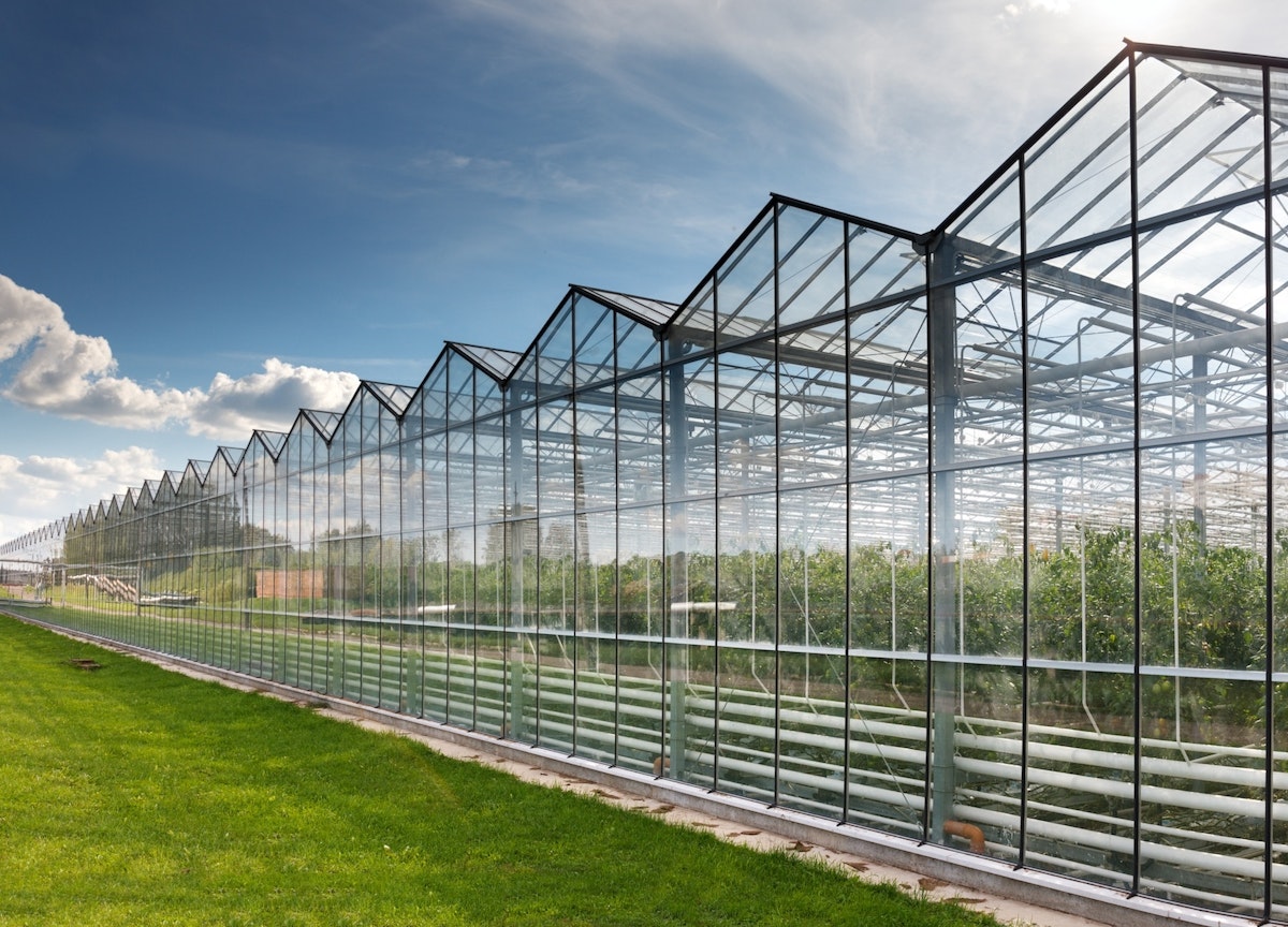 Revisiting the U.S. Coordinated Framework for the Regulation of Biotechnology