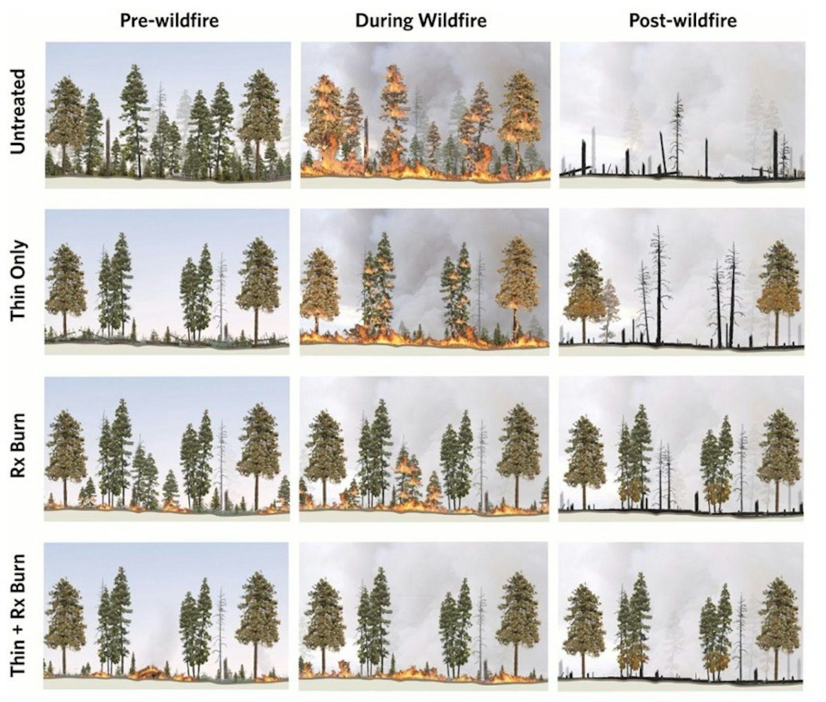 Pbfire15