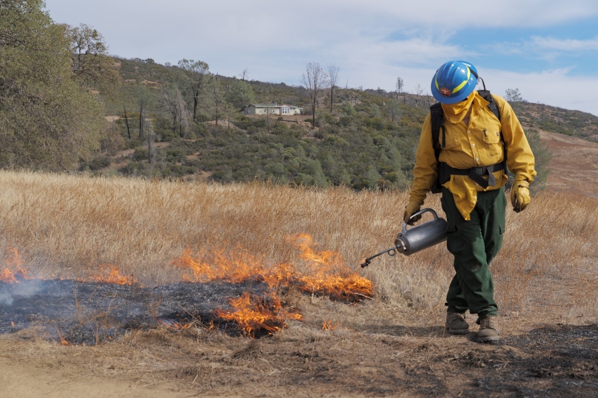 Trump’s Reorganization Adds to Perfect Storm of Wildfire Risk