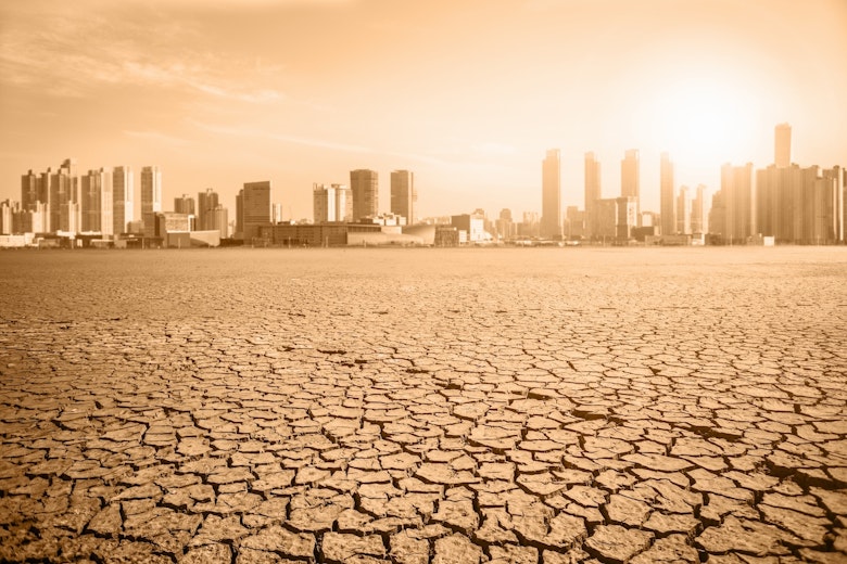 Revelatory Environmentalism