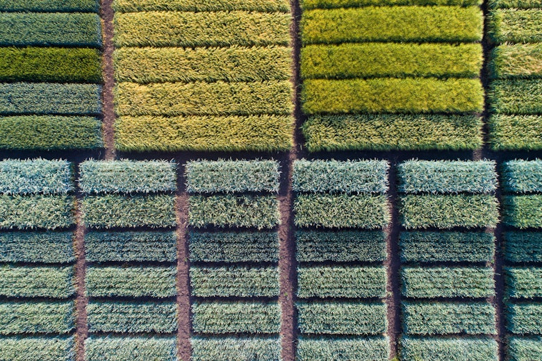 Test Plots