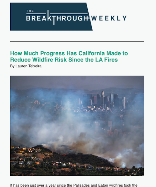 Preview of the newsletter